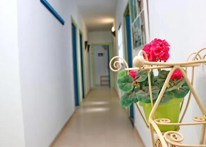 Canaveral Playa Conil Iv بيت ضيافة كونيل ذي لا فرونتيرا